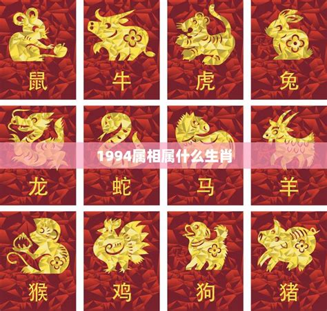 生肖 1994|94年属什么的生肖多大了 94年属什么的生肖和什么配